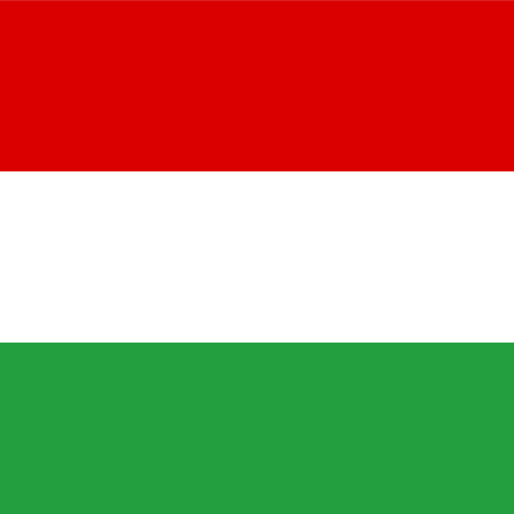 PIC_Flag Hungary